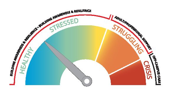 The wellness framework scale graphic